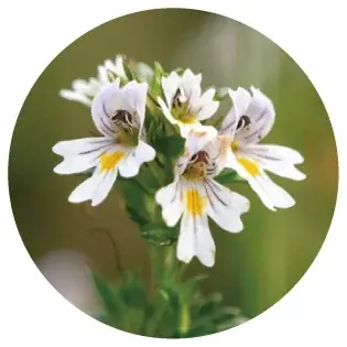 メイクアップアーティストが作った長期的な美しさをサポートするクリーンビューティーブランドrms beauty から「リバイタライズ ハイドラコンシーラー」が新登場！ 画像 18