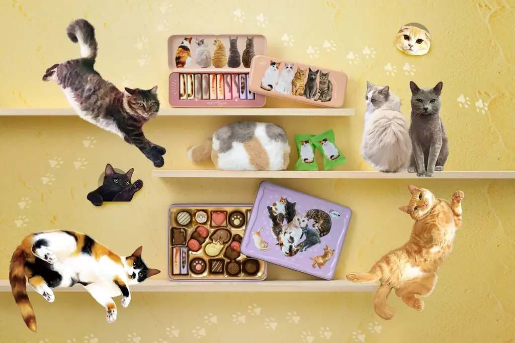 12月23日予約開始　メリーの猫チョコ新シリーズ「ねこみゃみれ」
