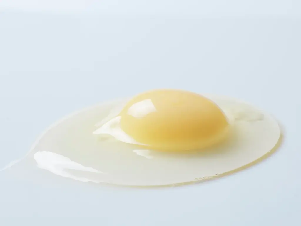 北海道発・生チーズケーキ「チーズワンダー」が12月3日(水)～阪急うめだ本店に初登場！累計200万個販売、オンライン完売続出の生チーズケーキが1週間限定でリアル販売 画像 7