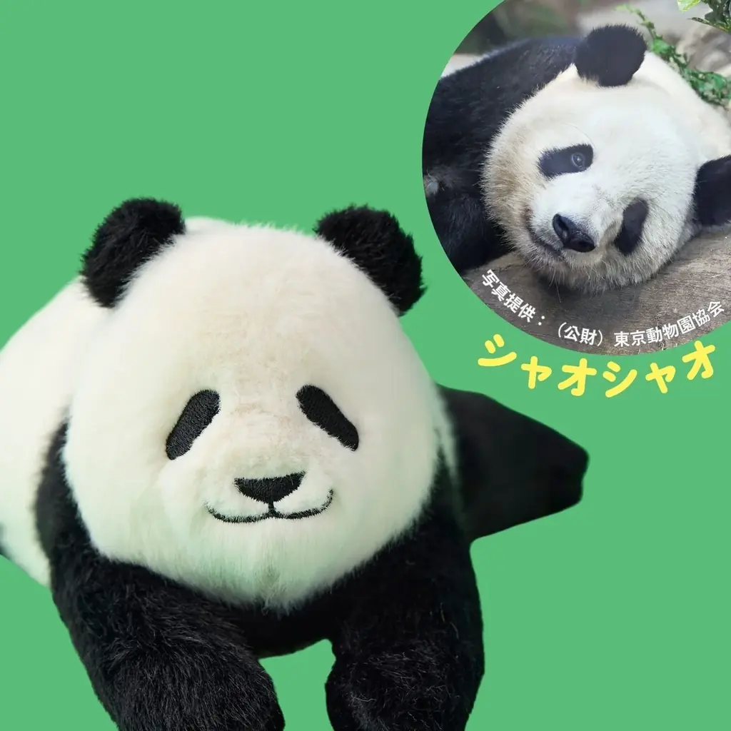 上野動物園の“シャンシャン・シャオシャオ・レイレイ”をモチーフにしたポーチなどパンダたちに感謝を込めたYOU+MORE!オリジナルグッズ5点が新登場【ジャイアントパンダ保護サポート基金協賛商品】 画像 4