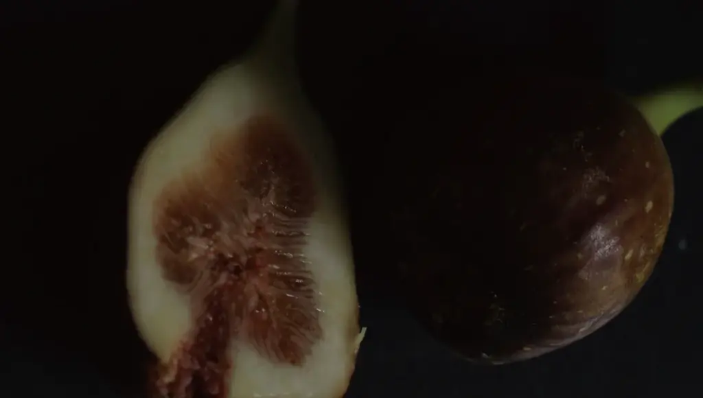 【2025年12月3日発売】この冬、みずみずしい無花果の香りをそっと手肌に。NEHAN TOKYOから新作ハンドクリーム登場。 画像 4