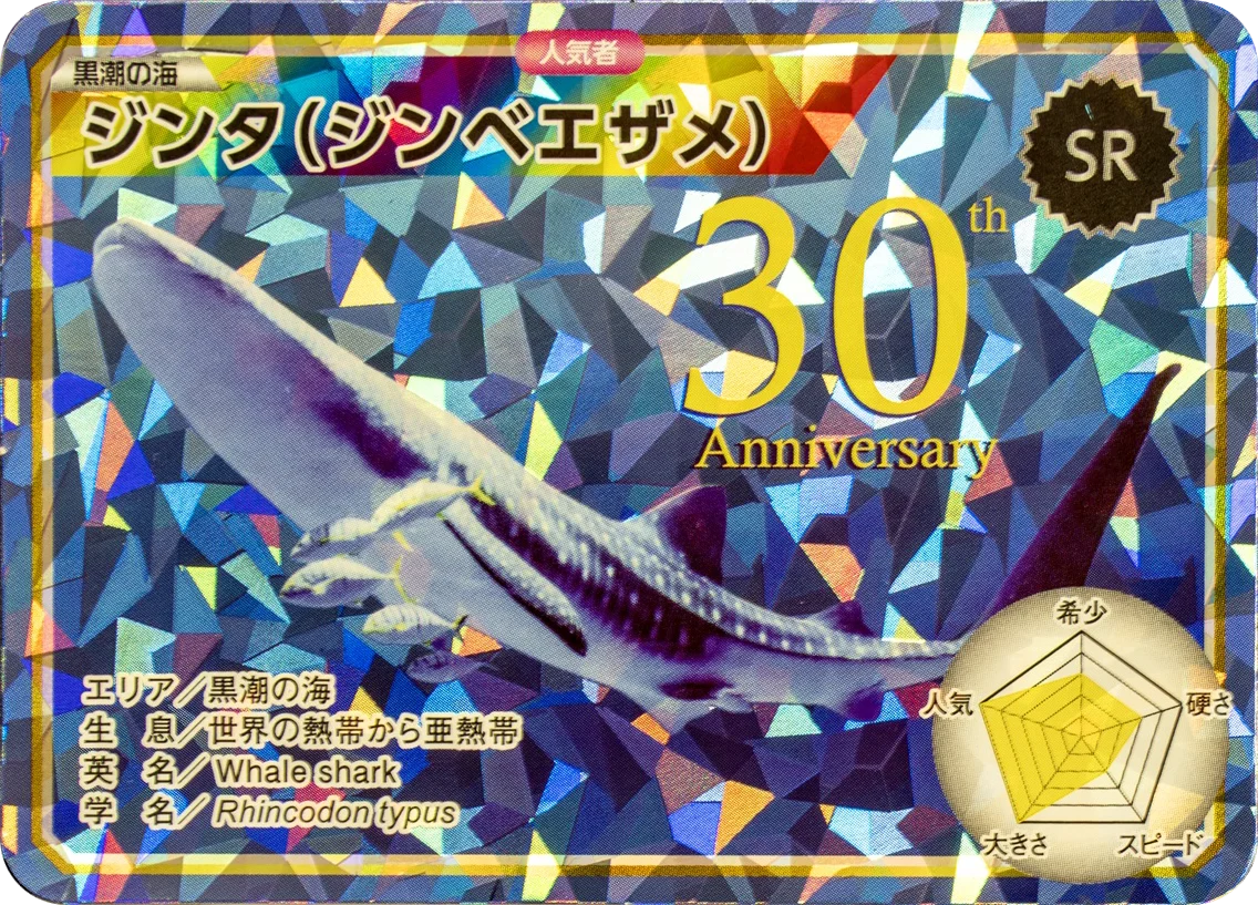 【沖縄美ら海水族館】「海洋博美ら海冬休みスペシャル」開催 画像 4