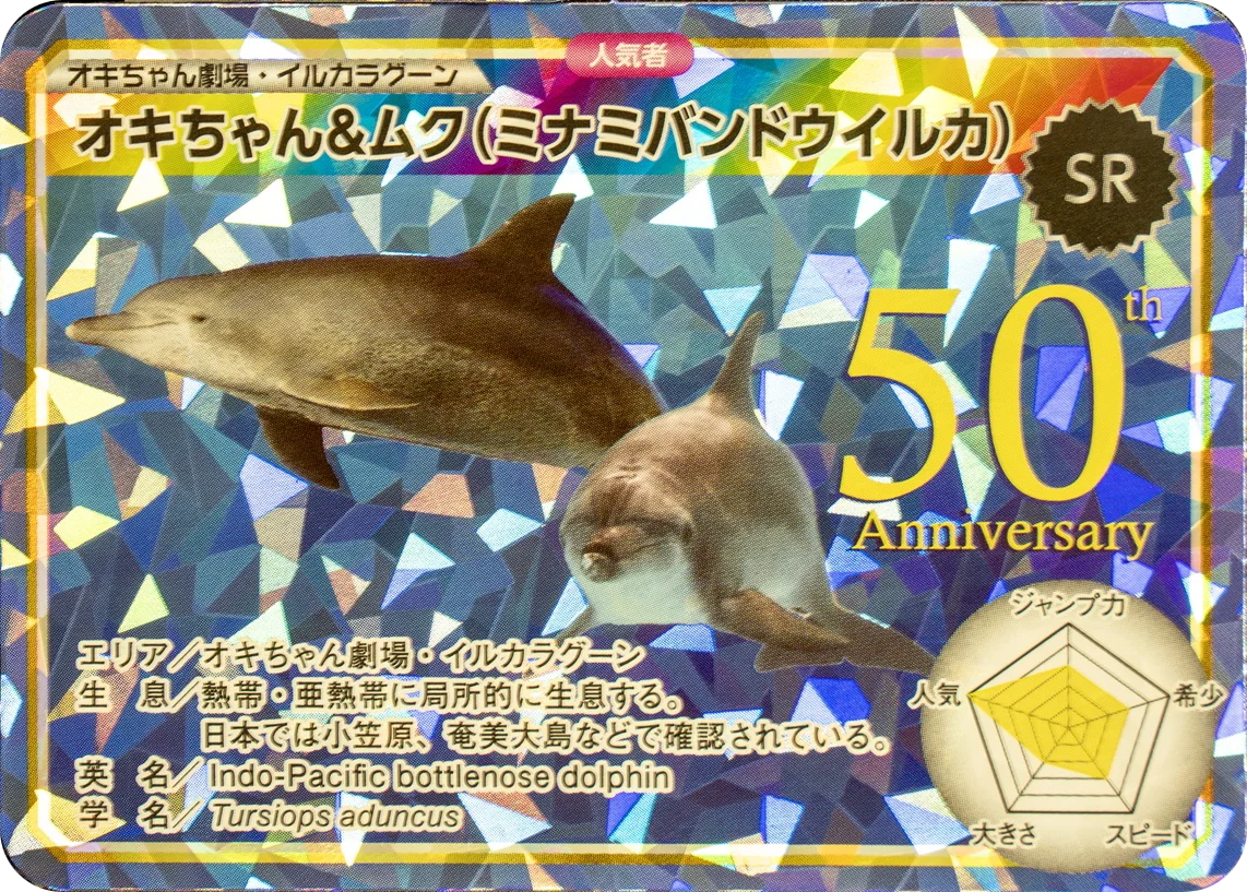 【沖縄美ら海水族館】「海洋博美ら海冬休みスペシャル」開催 画像 5