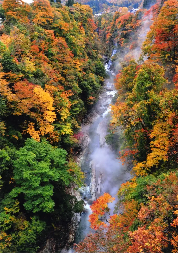 湯沢市観光物産協会×極楽湯・RAKU SPA第二弾「湯沢市まんぷく飯フェア」を11月25日(火)より開催！ 画像 6