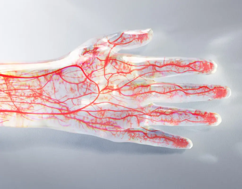 24 時間リカバリーウェア「ReD（レッド）」「ロフト ベストコスメ 2025」ネクストコスメWellness & Beauty 部⾨に選出 画像 5