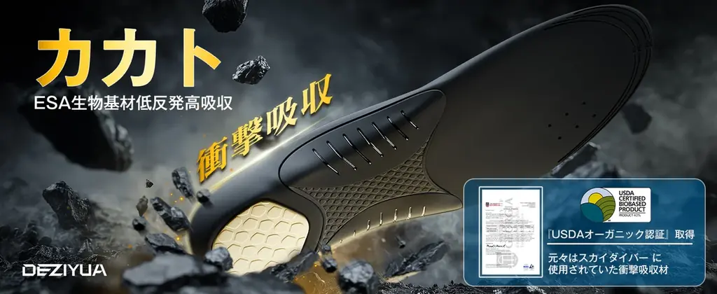 BLACK FRIDAY 2025開催！DEZIYUA 姿勢矯正インソールが特別価格に 画像 2