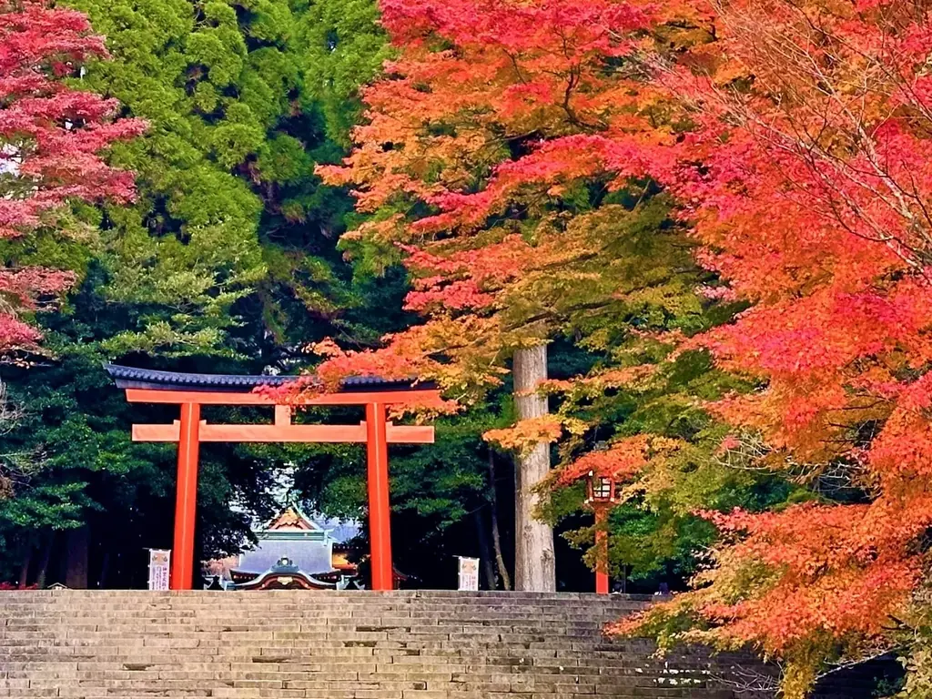 秋の霧島、紅葉スポットを紹介します！ 画像 1