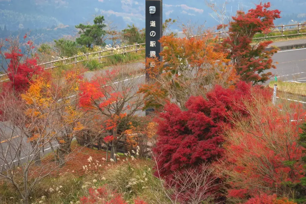秋の霧島、紅葉スポットを紹介します！ 画像 13