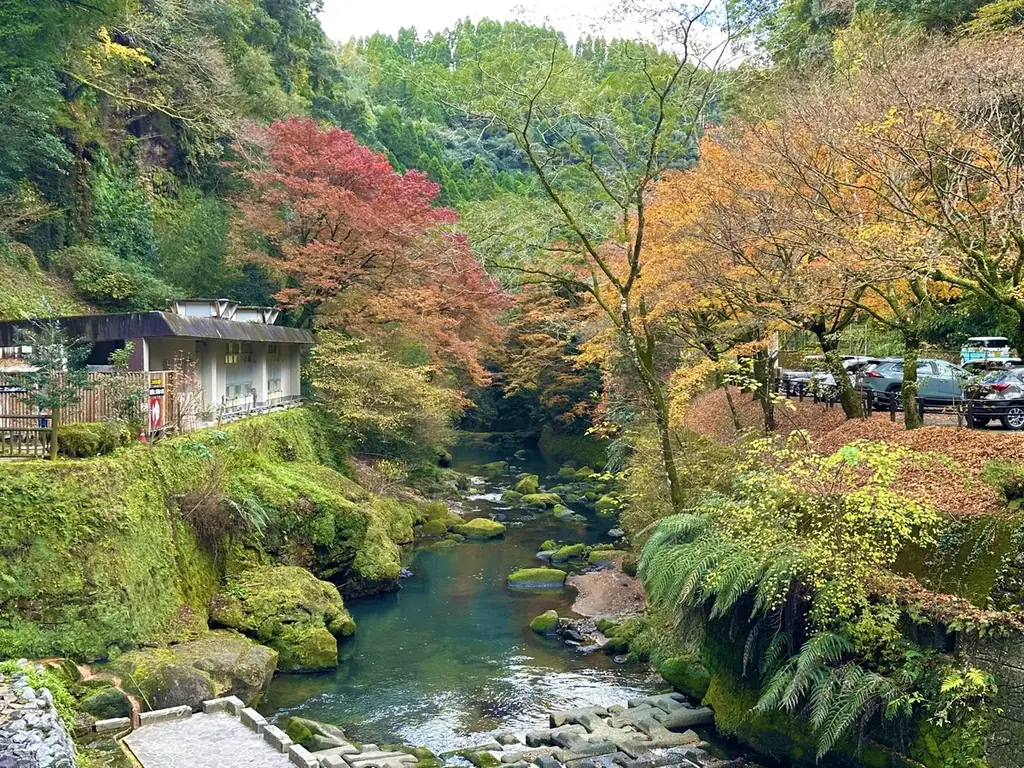 秋の霧島、紅葉スポットを紹介します！ 画像 14