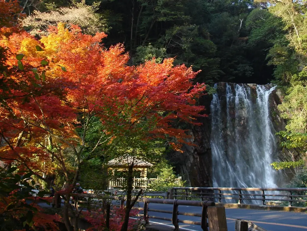 秋の霧島、紅葉スポットを紹介します！ 画像 4