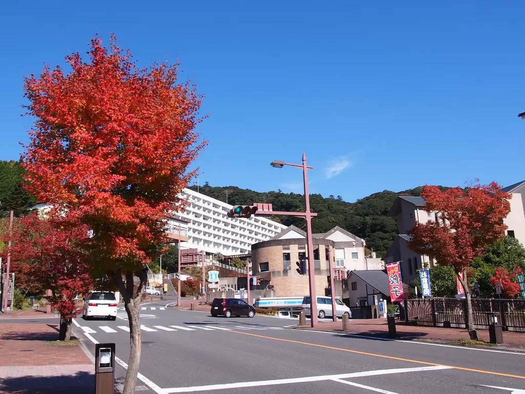 秋の霧島、紅葉スポットを紹介します！ 画像 5