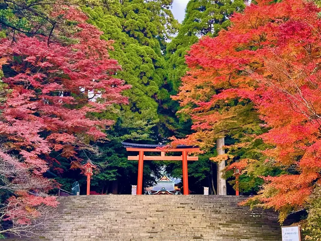 秋の霧島、紅葉スポットを紹介します！ 画像 8