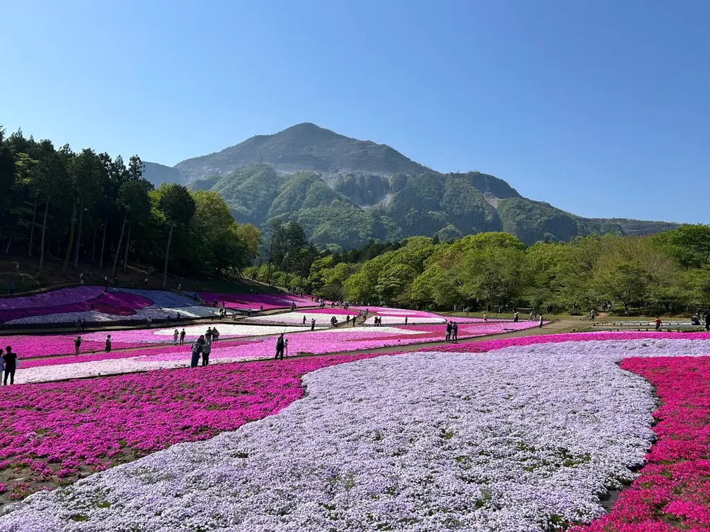 スポーツが旅になる、冬の秩父へ。『Spartan Race in CHICHIBU 2026』11月21日（金）チケット販売スタート！ 画像 10