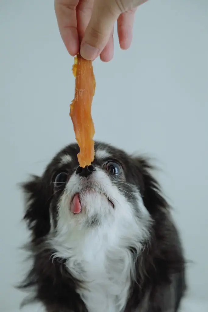 人間用高級干し芋から生まれた犬用ギフト『IMO CELEB（芋セレブ）』が、審査制・招待制にて正式ローンチ 画像 2