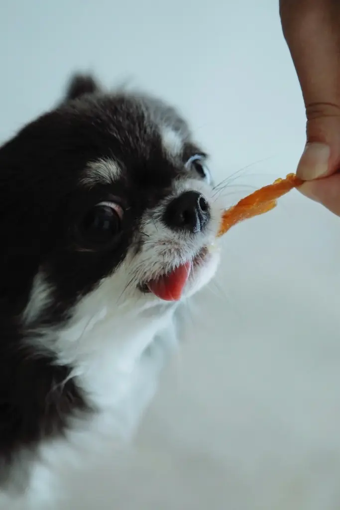 人間用高級干し芋から生まれた犬用ギフト『IMO CELEB（芋セレブ）』が、審査制・招待制にて正式ローンチ 画像 4