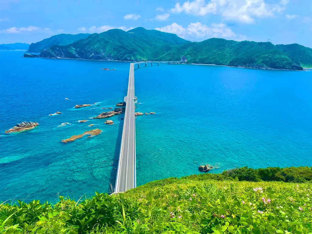 甑島フェア in 日本橋