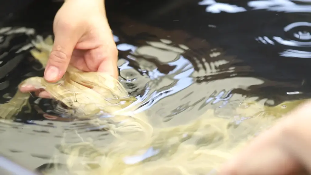 「つくる！あきがわアートストリーム 2025」開幕！～ 紅葉あふれるTOKYO 源流の山郷の美をアートと体験アクティビティで実感できる芸術祭 画像 1