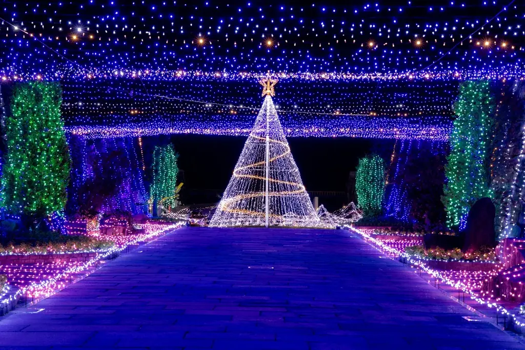 大人気イルミネーションイベント「ウィンターファンタジー」開催！！（国営讃岐まんのう公園） 画像 10