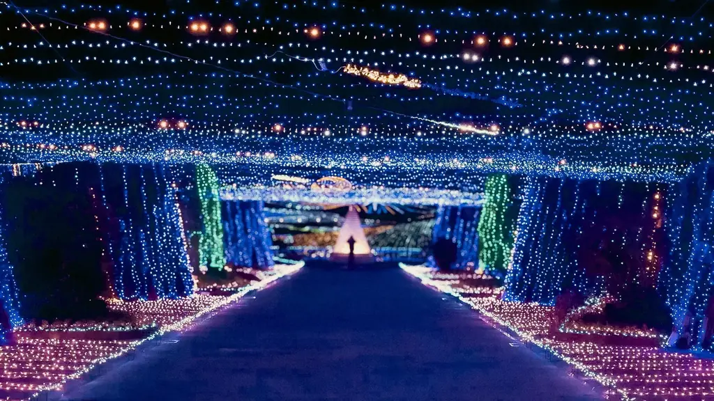 大人気イルミネーションイベント「ウィンターファンタジー」開催！！（国営讃岐まんのう公園） 画像 12