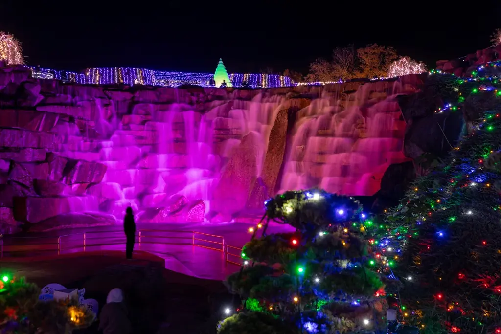 大人気イルミネーションイベント「ウィンターファンタジー」開催！！（国営讃岐まんのう公園） 画像 3