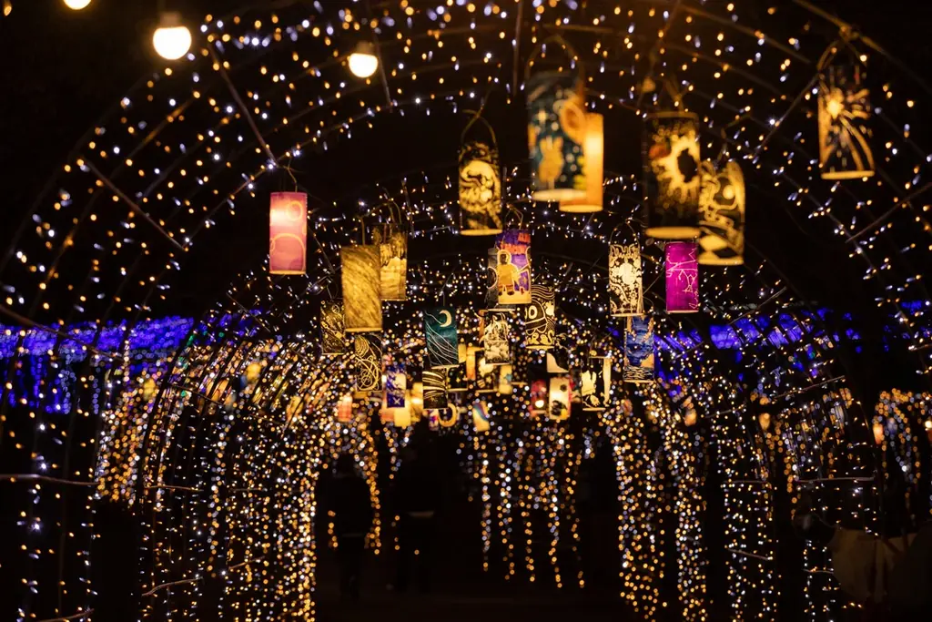 大人気イルミネーションイベント「ウィンターファンタジー」開催！！（国営讃岐まんのう公園） 画像 5