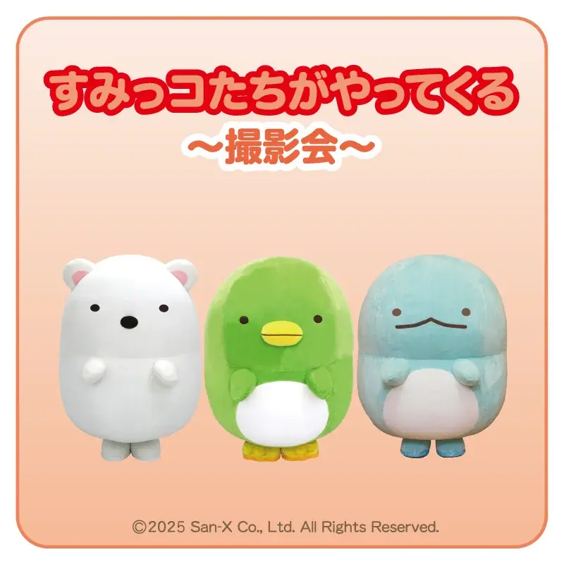 すみっコぐらしオリジナルグッズがもらえるお買い物キャンペーン、撮影会など　ゆめタウン・ゆめマートですみっコぐらしとのコラボ開催☆ 画像 5