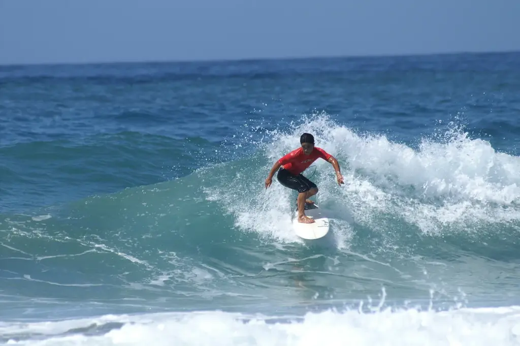 種子島×極楽湯・RAKU SPA「南種子町食めぐりフェア」を11月27日(木)より開催！ 画像 8