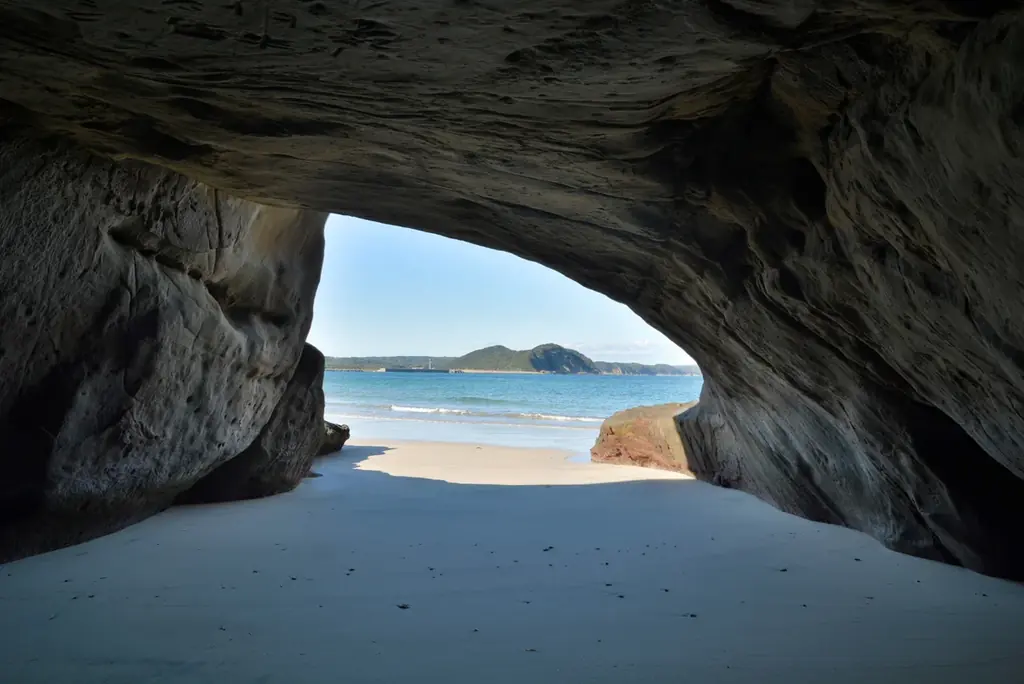 種子島×極楽湯・RAKU SPA「南種子町食めぐりフェア」を11月27日(木)より開催！ 画像 9