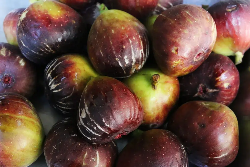 サンクトガーレン、飲むシュトーレンのようなビール「ウィンターフルーツタルトエール」11月27日より冬限定発売。いちじく・りんご・ジンジャー・シナモンの甘くスパイシーな味わい 画像 2