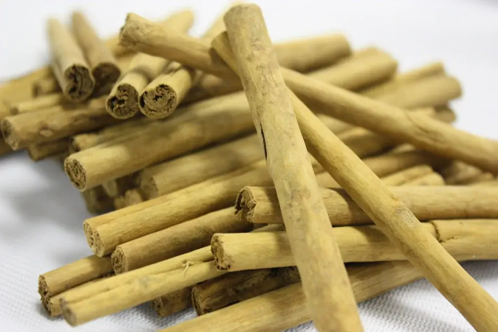 サンクトガーレン、飲むシュトーレンのようなビール「ウィンターフルーツタルトエール」11月27日より冬限定発売。いちじく・りんご・ジンジャー・シナモンの甘くスパイシーな味わい 画像 7