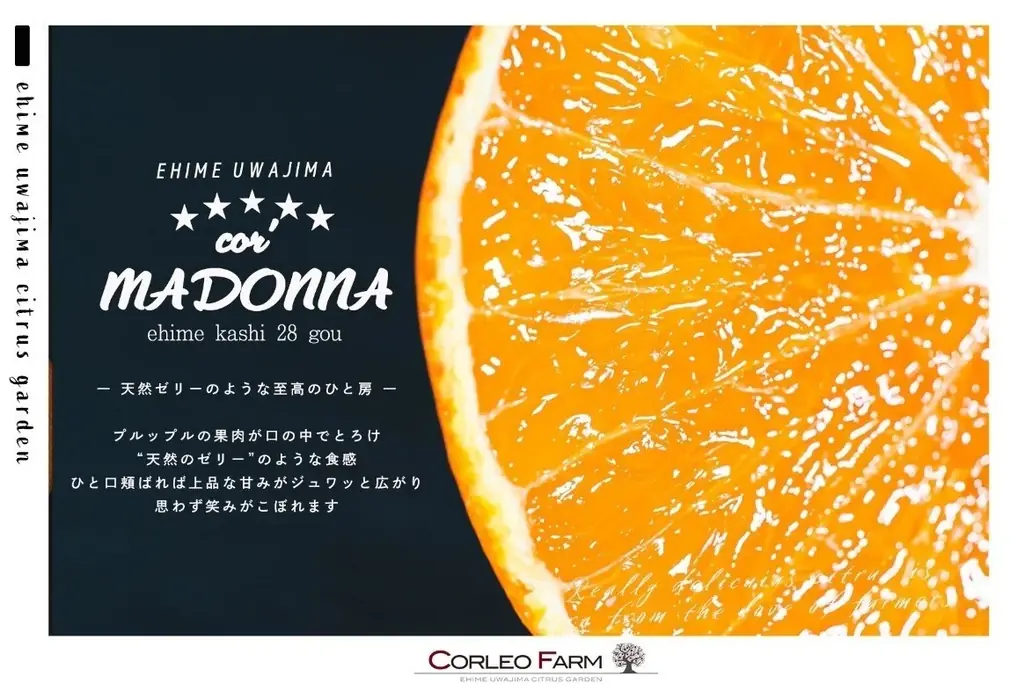 【カフェコムサ】溢れる果汁と高糖度で多幸感あふれるケーキ。愛媛県 宇和島 CORLEO FARM産「コル’マドンナ」のケーキを展開 画像 3