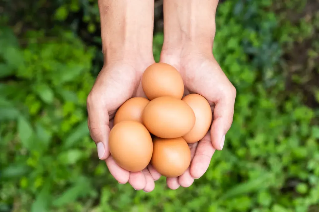 スーパーマリオやドンキーコングの仲間たちが、沖縄土産菓子のパッケージに登場！ 画像 6