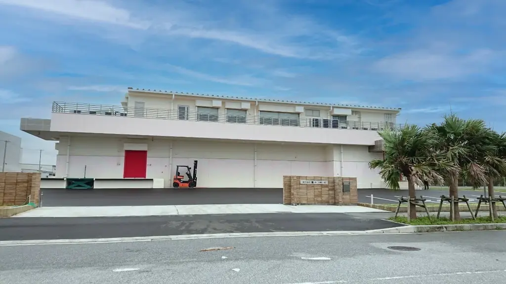 スーパーマリオやドンキーコングの仲間たちが、沖縄土産菓子のパッケージに登場！ 画像 9