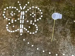 多摩美術大学が東京ミッドタウン・デザインハブで企画展「植える WELL-BEING」を12/1より開催 画像 5