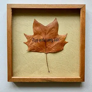 多摩美術大学が東京ミッドタウン・デザインハブで企画展「植える WELL-BEING」を12/1より開催 画像 6