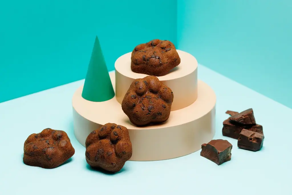 【博多土産】【期間限定】　ショコラで彩る冬の“コク旨スイーツ”「KOKUNEKO(コクネコ)」から、新作フィナンシェを発売！ 画像 1