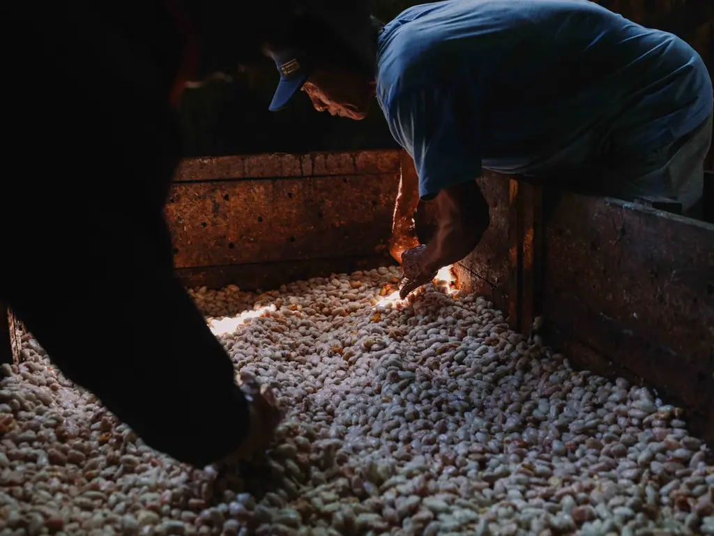 無印良品で季節限定新発売！2025年12月3日より、京都チョコレート専門店「dari K」のライム発酵カカオを使用した爽やかな柑橘の香りが広がるチョコレート。 画像 3