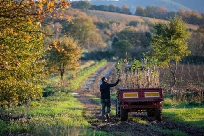 イタリア発ウエハースブランドLoackerが、100周年記念キャンペーン第二弾「ロアカー100年の絆」を開催 画像 4