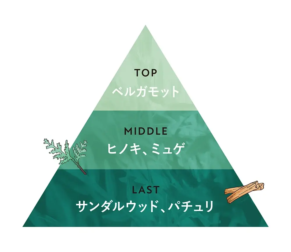 10周年のBOTANISTから、冬の特別な贈り物＜白樺の枝をアップサイクルしたリードディフューザーを抽選で100名様に＞ 画像 5