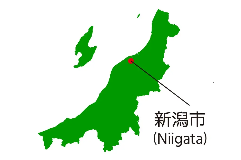 《宅配ピザテンフォー》11月28日(金)新潟巻店 移転リニューアルオープン！ 画像 3