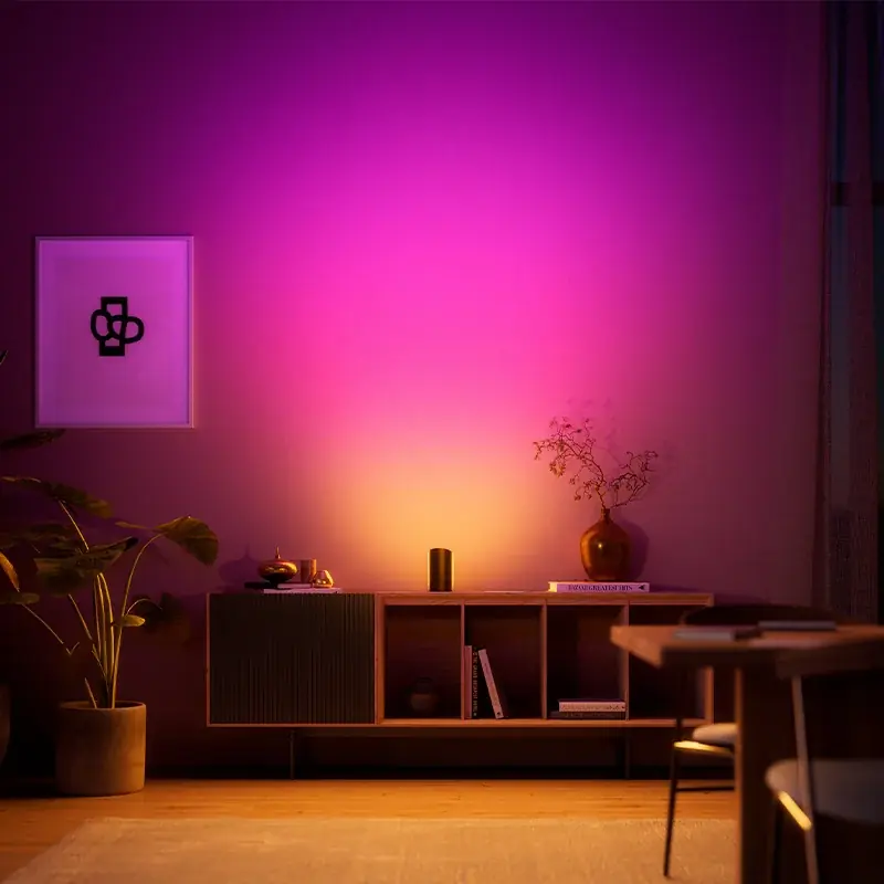 新製品「Philips Hue Play ウォールウォッシャーが当たる！キャンペーン」開始 画像 4