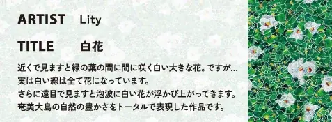 BODY WILD×パラリンアート　多彩なデザインボクサー第4弾発売「障がい者がアートで夢を叶える世界を作る」 画像 4