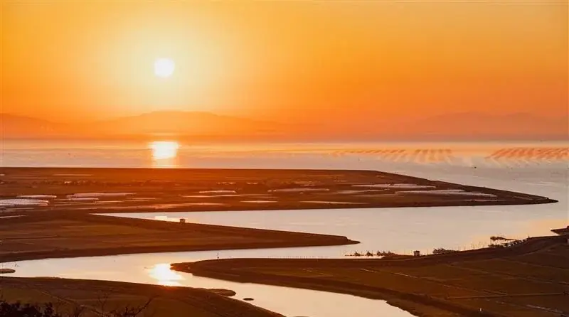 12月5日〜7日、根津で佐賀県フェア　旬食材と佐賀特産を堪能