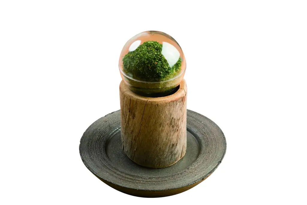 回転すし「スシロー」と同じグループである、大衆寿司居酒屋「鮨 酒 肴　杉玉」が東海地方に初出店！ 画像 11