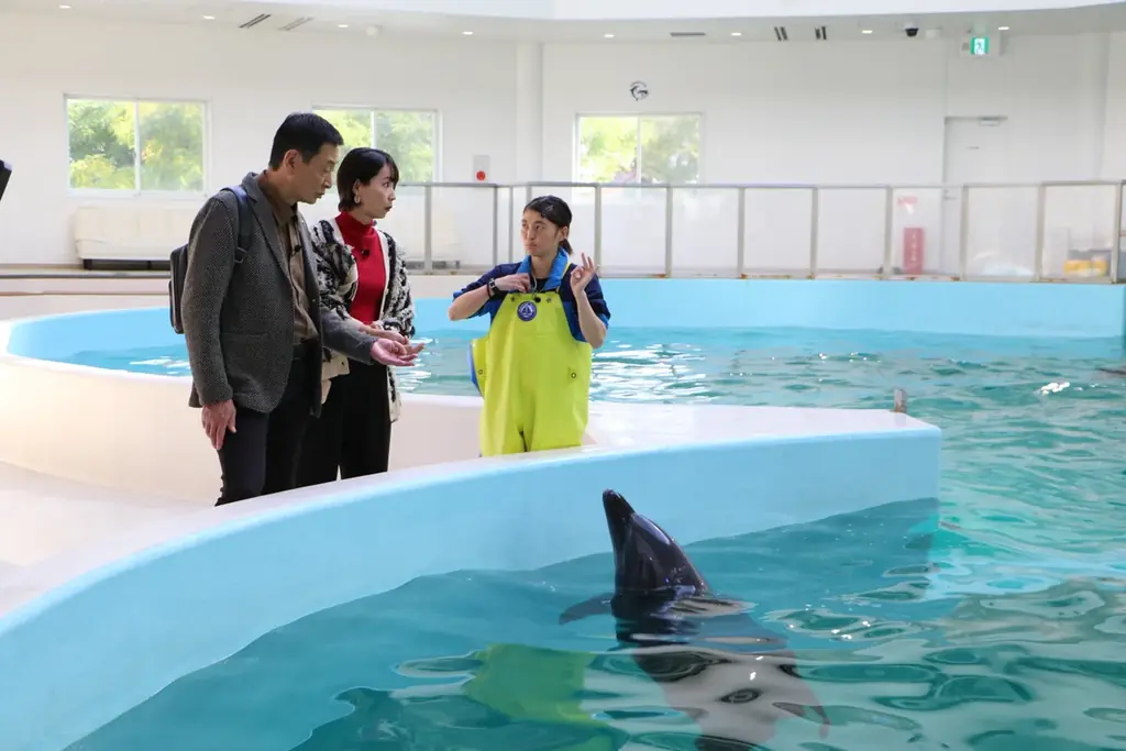 三田村邦彦が大阪・堺を歩く！鮮魚立ち飲み・老舗中華・角打ち・イルカ体験・伝統刃物・絶品焼鳥まで満喫するおとな旅 画像 6