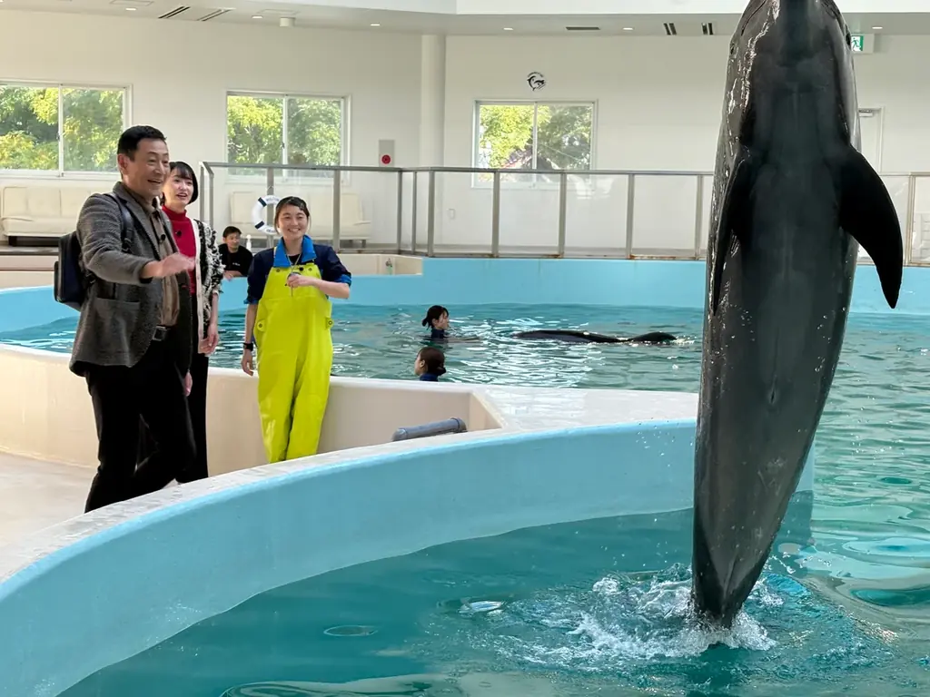 三田村邦彦が大阪・堺を歩く！鮮魚立ち飲み・老舗中華・角打ち・イルカ体験・伝統刃物・絶品焼鳥まで満喫するおとな旅 画像 7