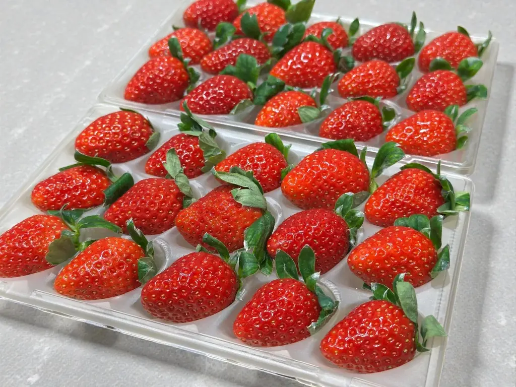 マウンドからいちご農園へ。連日大行列の「飲むイチゴパフェ」再び！元プロ野球選手が横浜髙島屋に登板、農園直送パック&砂糖保存料不使用ドライいちご 画像 2