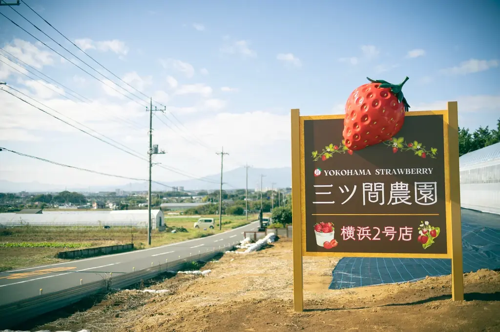 マウンドからいちご農園へ。連日大行列の「飲むイチゴパフェ」再び！元プロ野球選手が横浜髙島屋に登板、農園直送パック&砂糖保存料不使用ドライいちご 画像 7