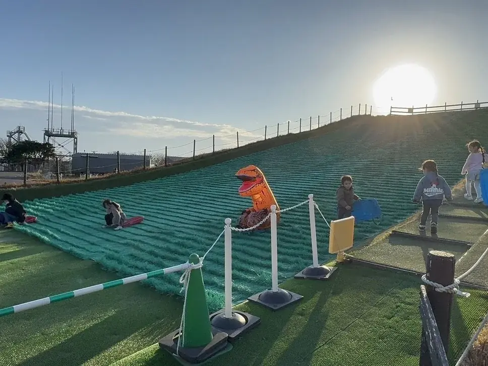 【横須賀・ソレイユの丘】恐竜たちが原っぱを駆け抜ける！『第3回ティラノサウルスレース』を2026年1月17日(土)に開催します。 画像 15