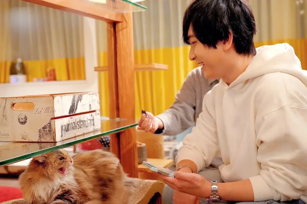 声優・中島ヨシキ＆西山宏太朗、猫だけのライブ配信アプリ「nekochan」で“猫尽くしの生配信”を実施！ 画像 4